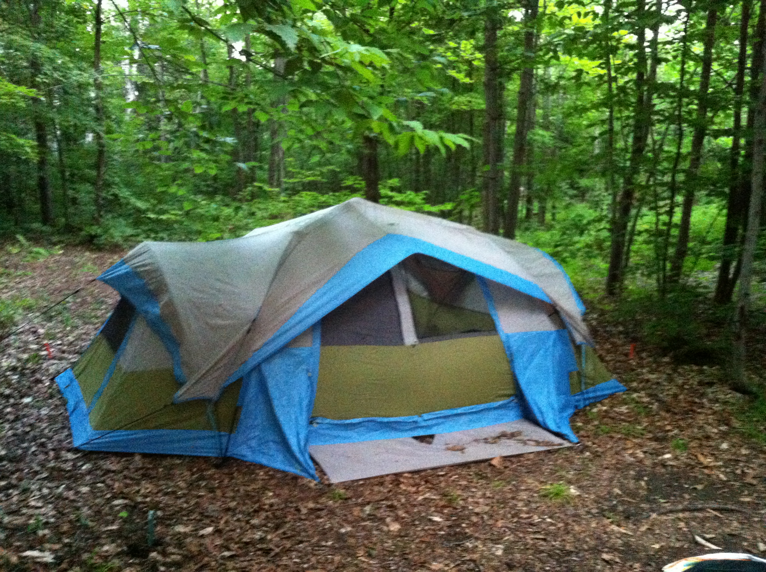 Partir au camping : vous hésitez à propos de l’activité à faire ?
